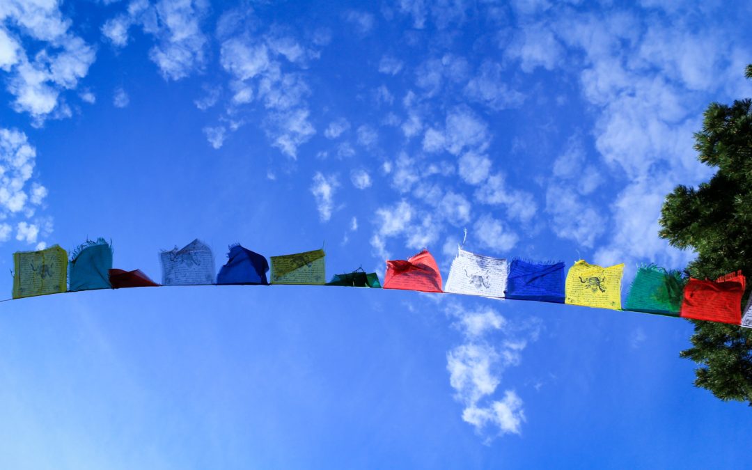 Learn More About the Features of Our Clothesline System